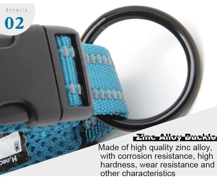 Padded, Nylon Dog Collar with Buckle