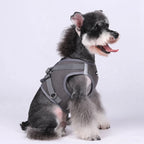 Dog Harness with Airtag Tracker and Leash Set - Mesh and Nylon