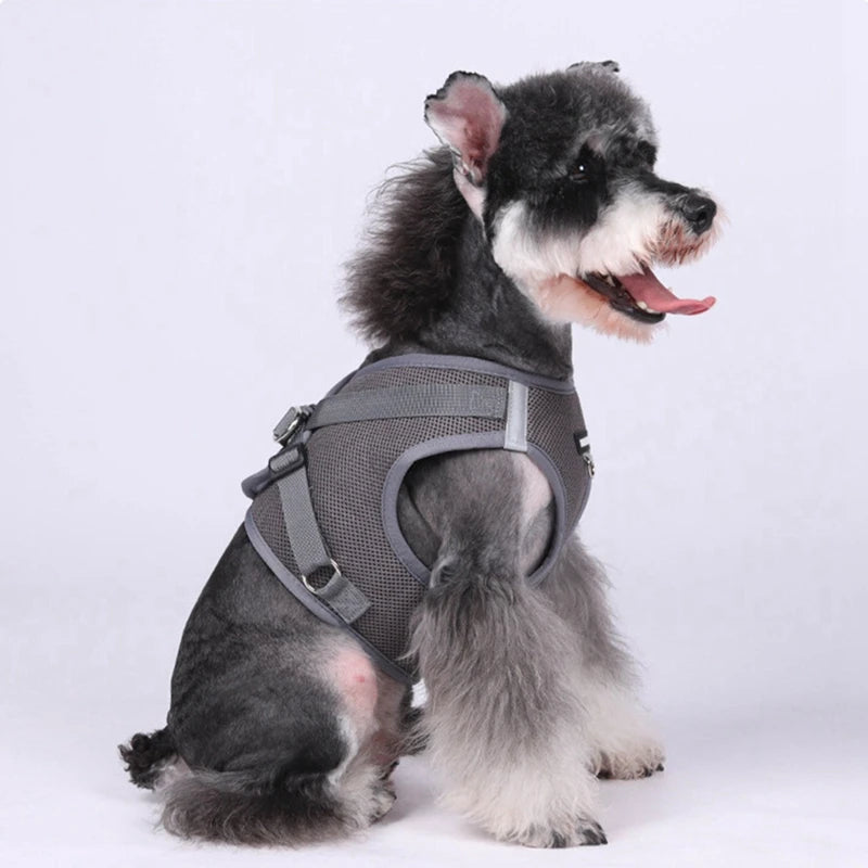 Dog Harness with Airtag Tracker and Leash Set - Mesh and Nylon