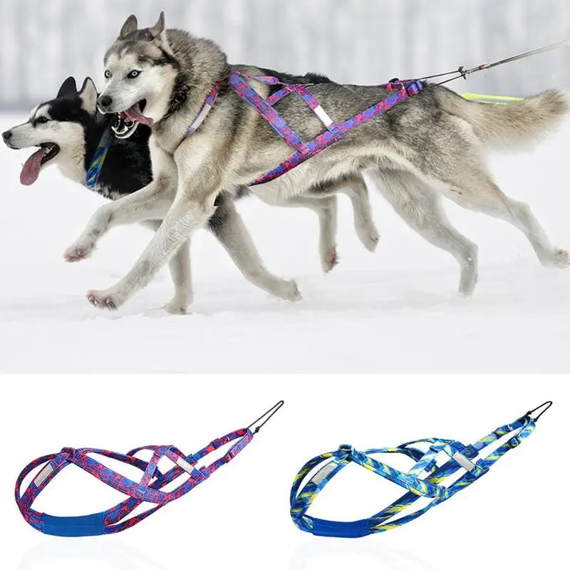 Dog Harness - Running, Speed Training, Pulling, and Sled Harness