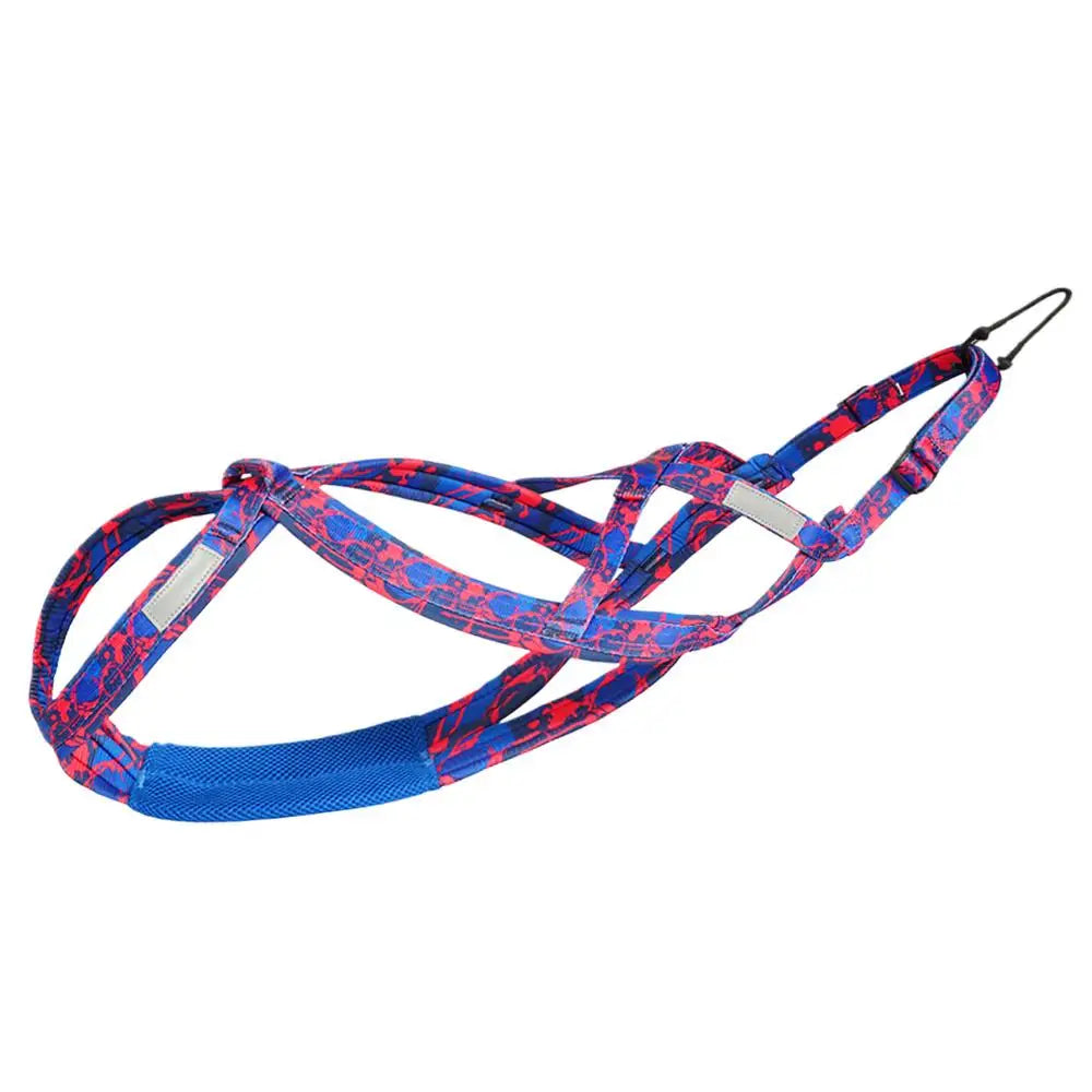 Dog Harness - Running, Speed Training, Pulling, and Sled Harness