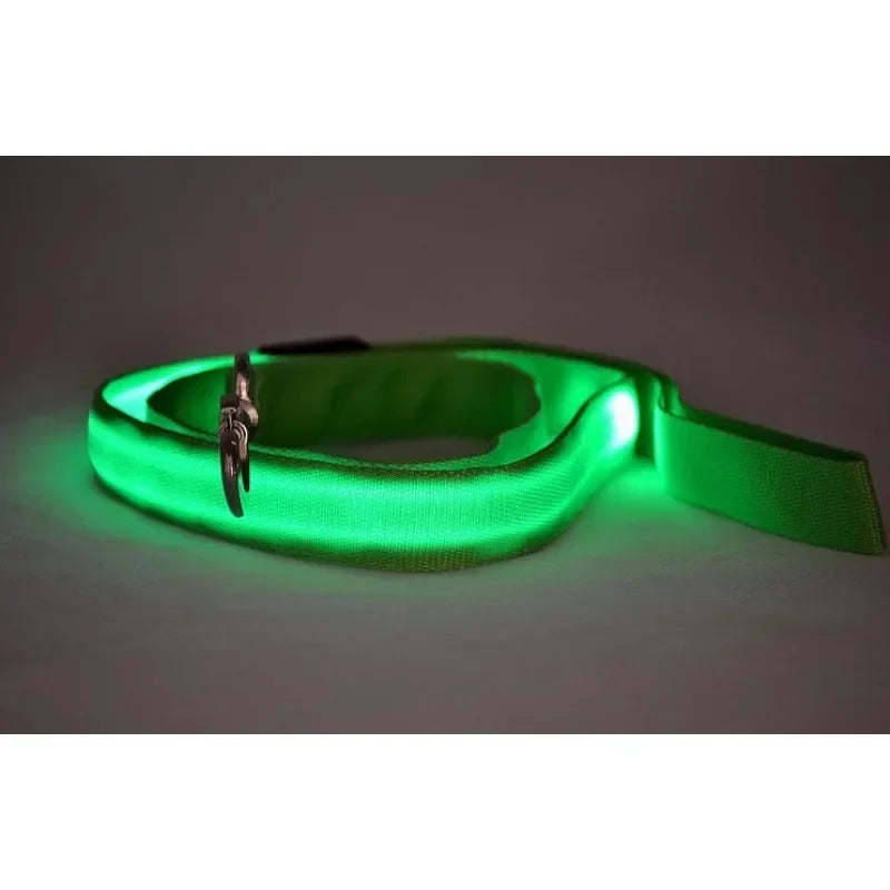 LED Light Up Dog Leash for Dog Safety