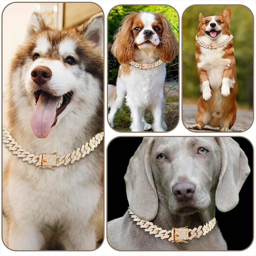 Dog & Cat Diamond Metal Collar with Secure Buckle