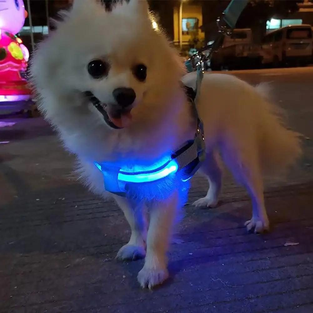 Adjustable, USB Rechargeable, LED Pet Harness - Glow-in-The-Dark Safety Harness