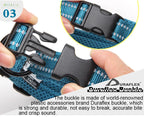 Padded, Nylon Dog Collar with Buckle