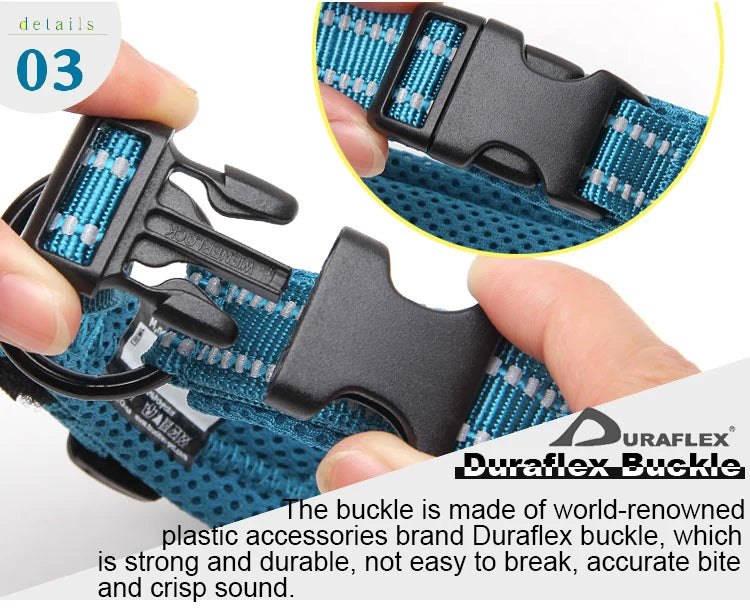 Padded, Nylon Dog Collar with Buckle