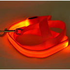 LED Light Up Dog Leash for Dog Safety