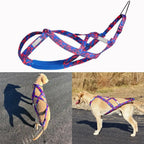 Dog Harness - Running, Speed Training, Pulling, and Sled Harness