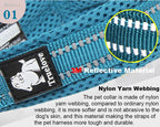 Padded, Nylon Dog Collar with Buckle