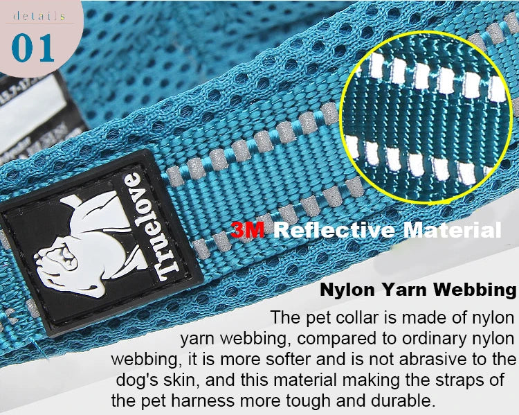 Padded, Nylon Dog Collar with Buckle