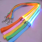 LED Light Up Dog Leash for Dog Safety