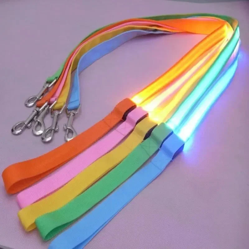 LED Light Up Dog Leash for Dog Safety