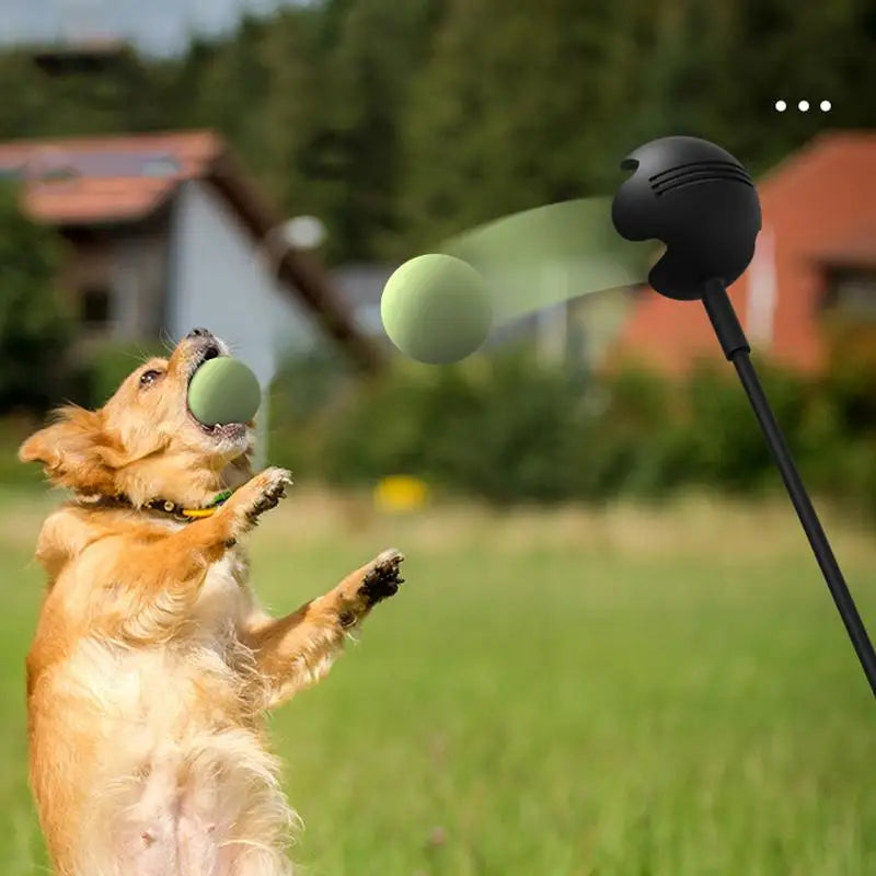 Dog Throwing Pole / Ball Launcher