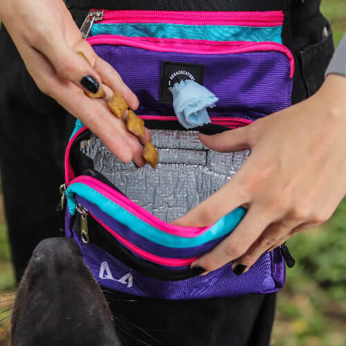 Slim Fit Thigh Treat Bag – Dog Training Pouch