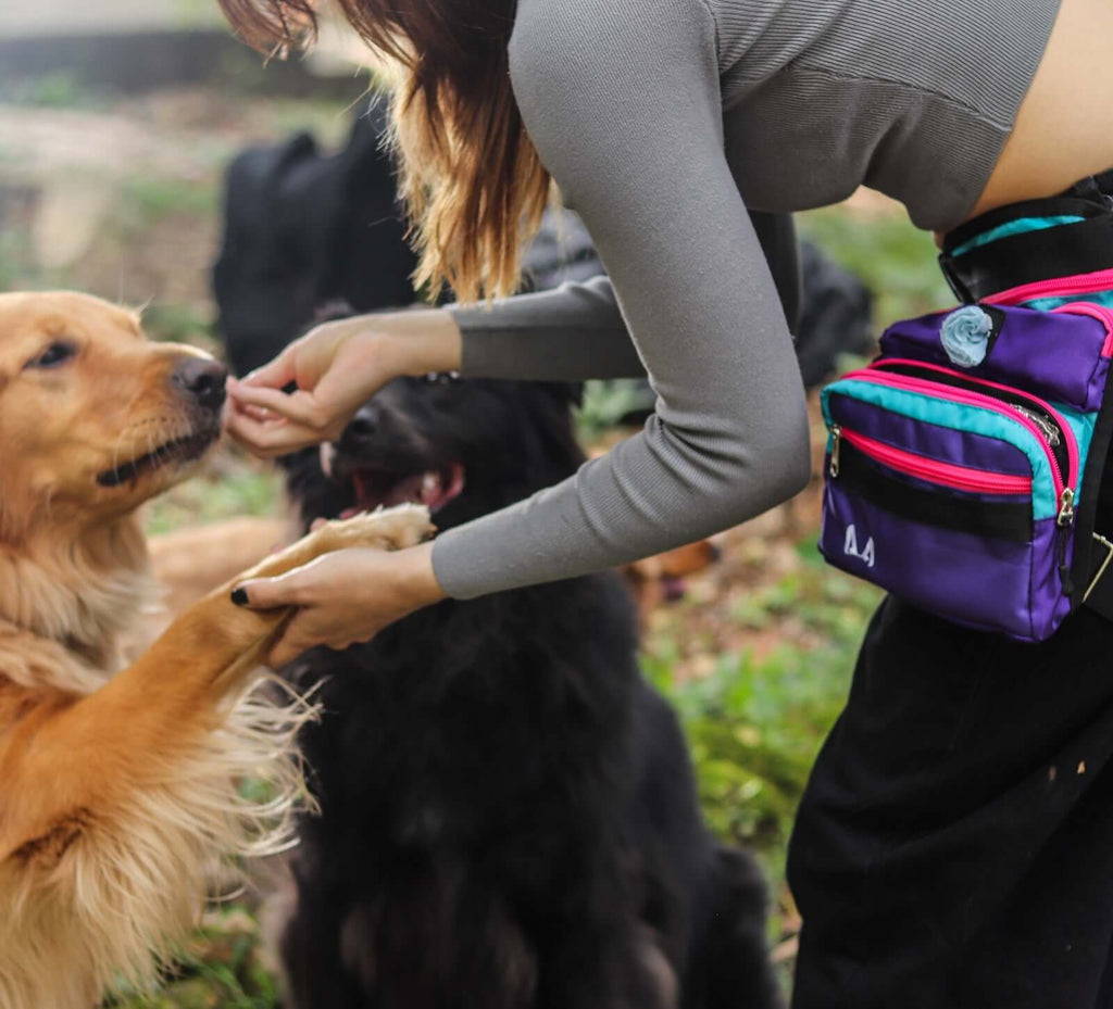 Slim Fit Thigh Treat Bag – Dog Training Pouch