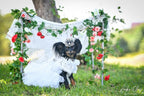 Luxury Pet Bridal Veil with Pearl Crown – Elegant Wedding Tiara Veil for Dogs & Cats