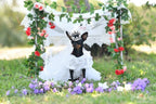 Luxury Pet Bridal Veil with Pearl Crown – Elegant Wedding Tiara Veil for Dogs & Cats