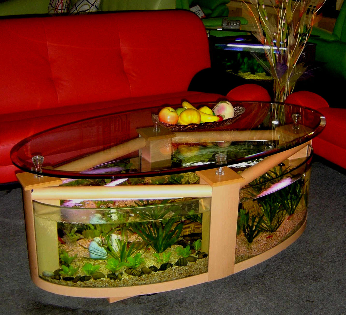 WARRANTY INCLUDED! 60 gallon GLASS oval round table aquarium fish tank setup