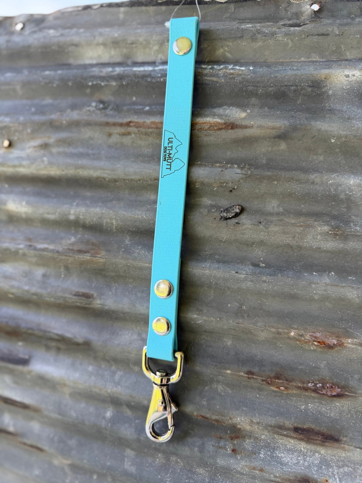 BioThane® Training Tab | Short Traffic Lead & Off-Leash Safety Handle*