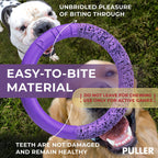 Dog Ring Fetch Toy Large Dogs Maxi Size 1 Pc Purple