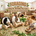 Play Toys Rollers, Barbells, Dumbbells , for Cavy, Rabbits & Rodents