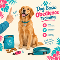Basic Obedience