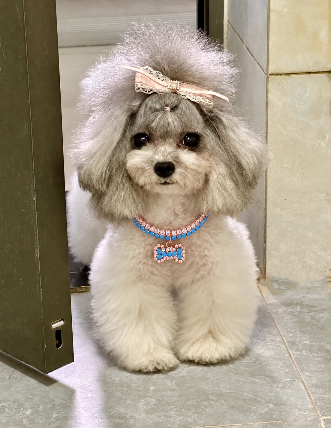 Blue Rhinestone Bone Charm Pet Necklace