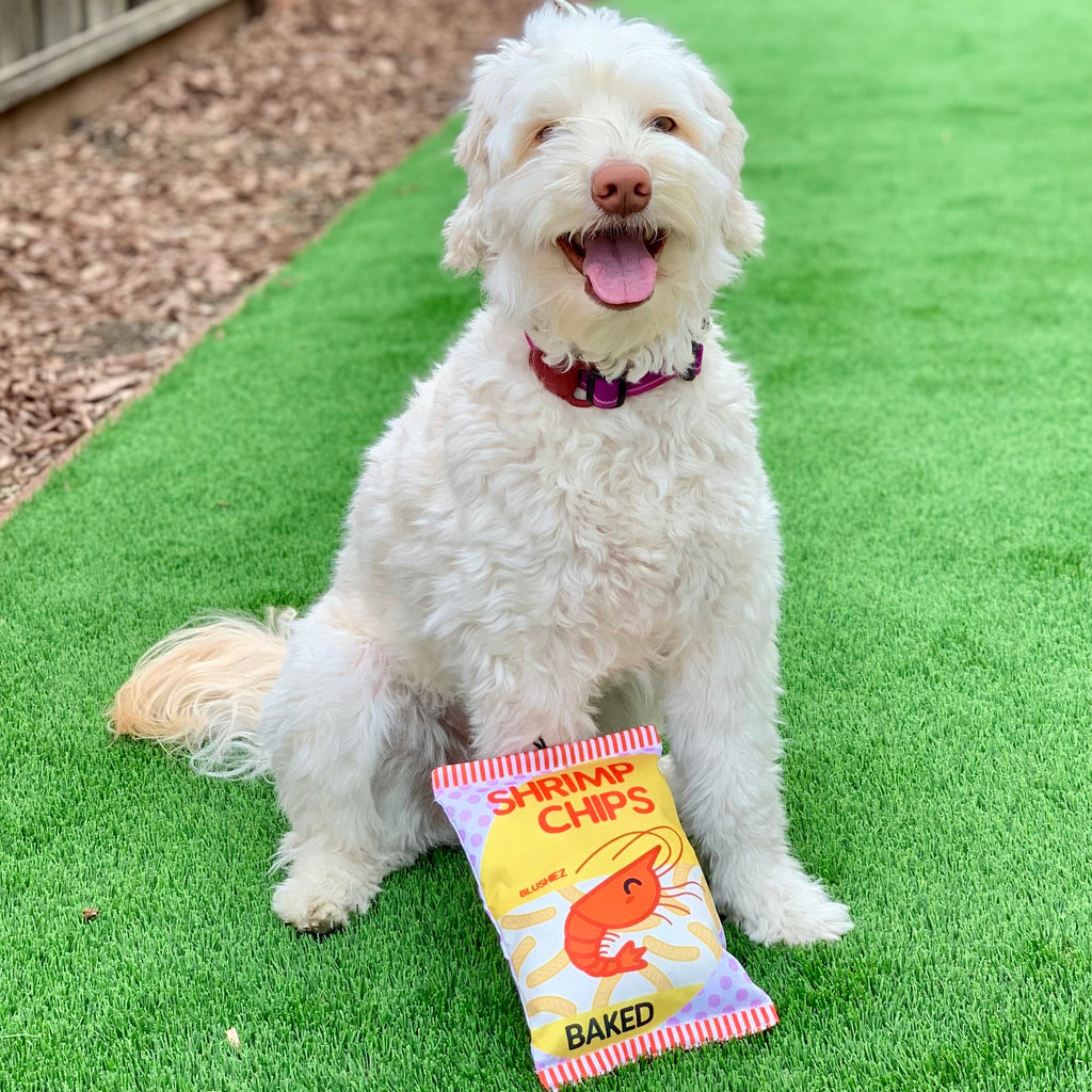 Shrimp Chips Dog Toy
