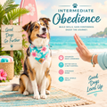 Intermediate Obedience