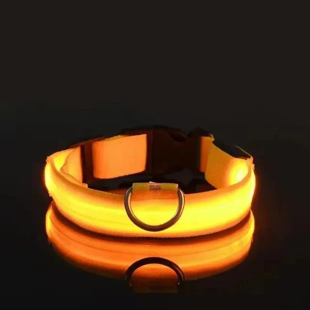 LED Dog Collar | Nylon Light-Up Safety Collar, Reflective Glow