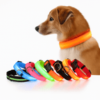 LED Dog Collar | Nylon Light-Up Safety Collar, Reflective Glow
