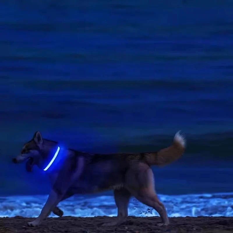 LED Dog Collar | Nylon Light-Up Safety Collar, Reflective Glow