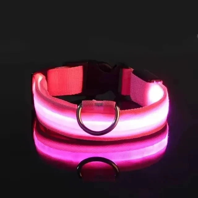 LED Dog Collar | Nylon Light-Up Safety Collar, Reflective Glow