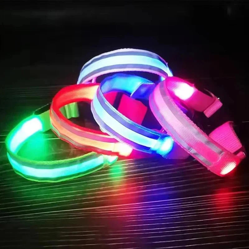 LED Dog Collar | Nylon Light-Up Safety Collar, Reflective Glow