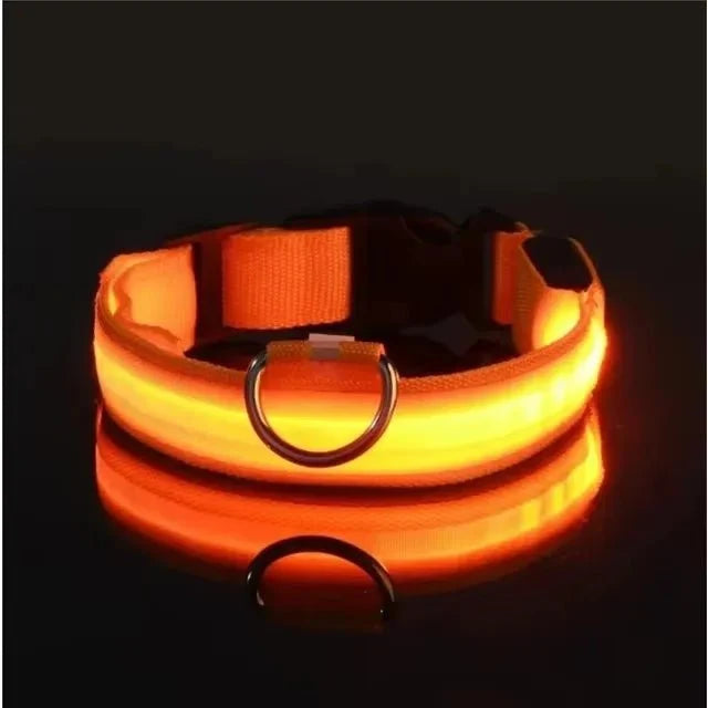LED Dog Collar | Nylon Light-Up Safety Collar, Reflective Glow