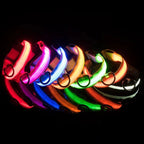 LED Dog Collar | Nylon Light-Up Safety Collar, Reflective Glow