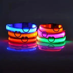 LED Dog Collar | Nylon Light-Up Safety Collar, Reflective Glow