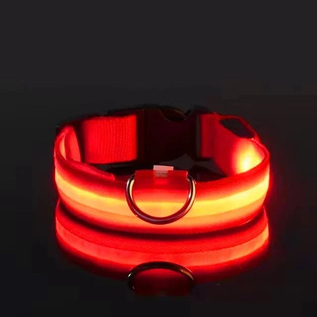 LED Dog Collar | Nylon Light-Up Safety Collar, Reflective Glow