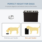 PawHut Raised Dog Feeding Station with 2 Stainless Steel Bowls Storage Large Pets Dark Brown