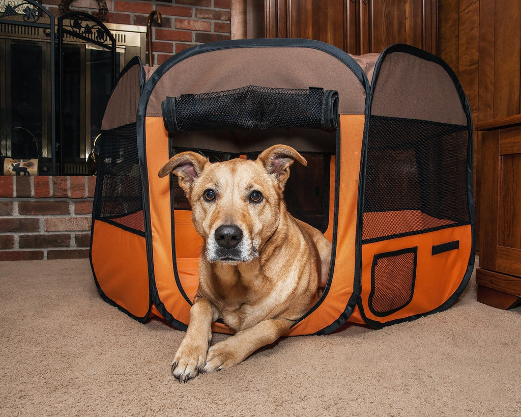 Pet Life ® 'All-Terrain' Lightweight Easy Folding Wire-Framed Collapsible Travel Pet Dog Playpen crate