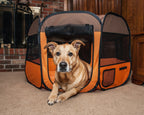 Pet Life ® 'All-Terrain' Lightweight Easy Folding Wire-Framed Collapsible Travel Pet Dog Playpen crate