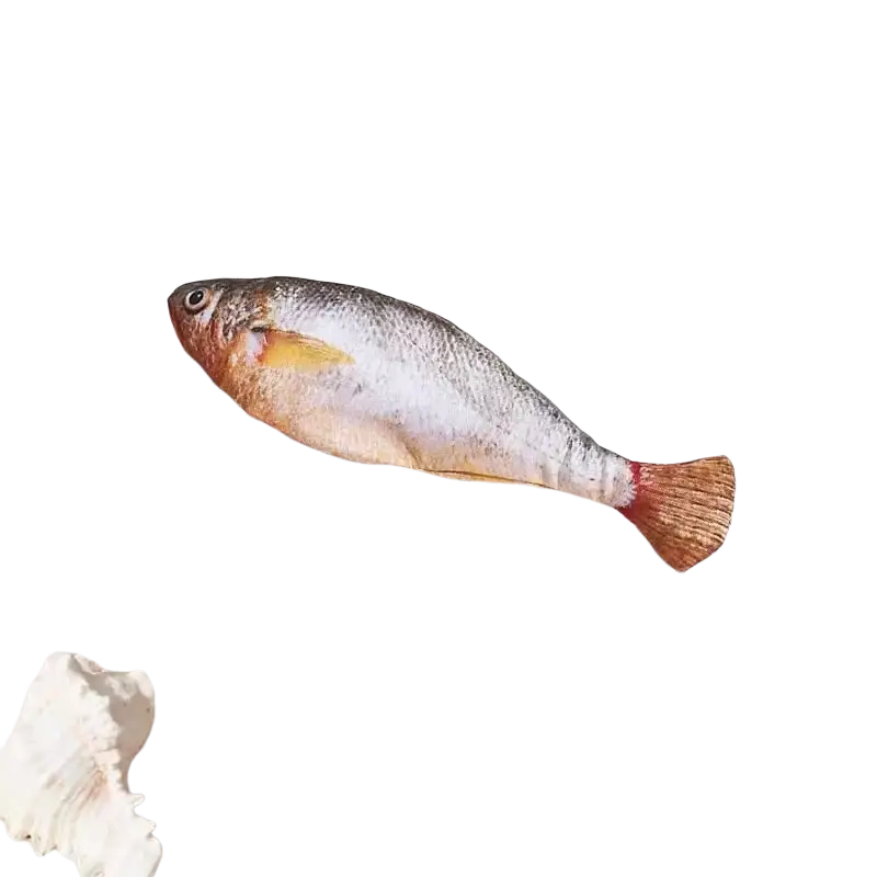 Smart Electric Interactive Fish Cat Toy