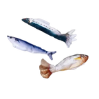 Smart Electric Interactive Fish Cat Toy