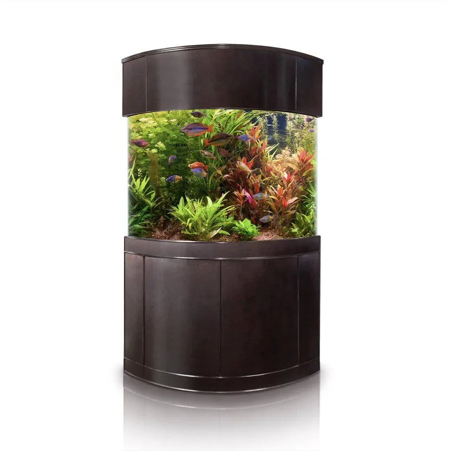 440g Corner 1/4 Cylinder Glass Aquarium Set in Walnut Wood Furniture
