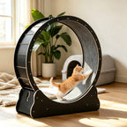 Large Cat Treadmill for Indoor Pets with Quiet Operation - MDF