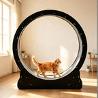Large Cat Treadmill for Indoor Pets with Quiet Operation - MDF